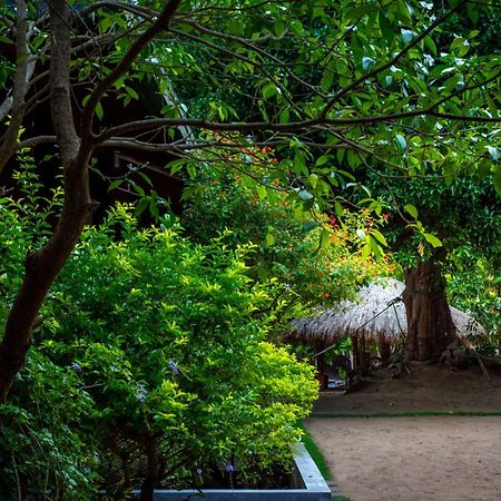 Arugambay Coco Bay Arugam Bay Exterior foto