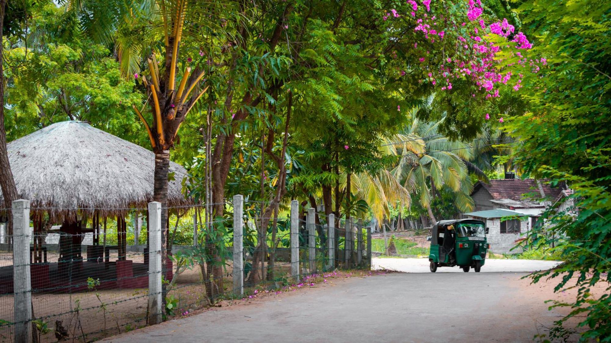 Arugambay Coco Bay Arugam Bay Exterior foto