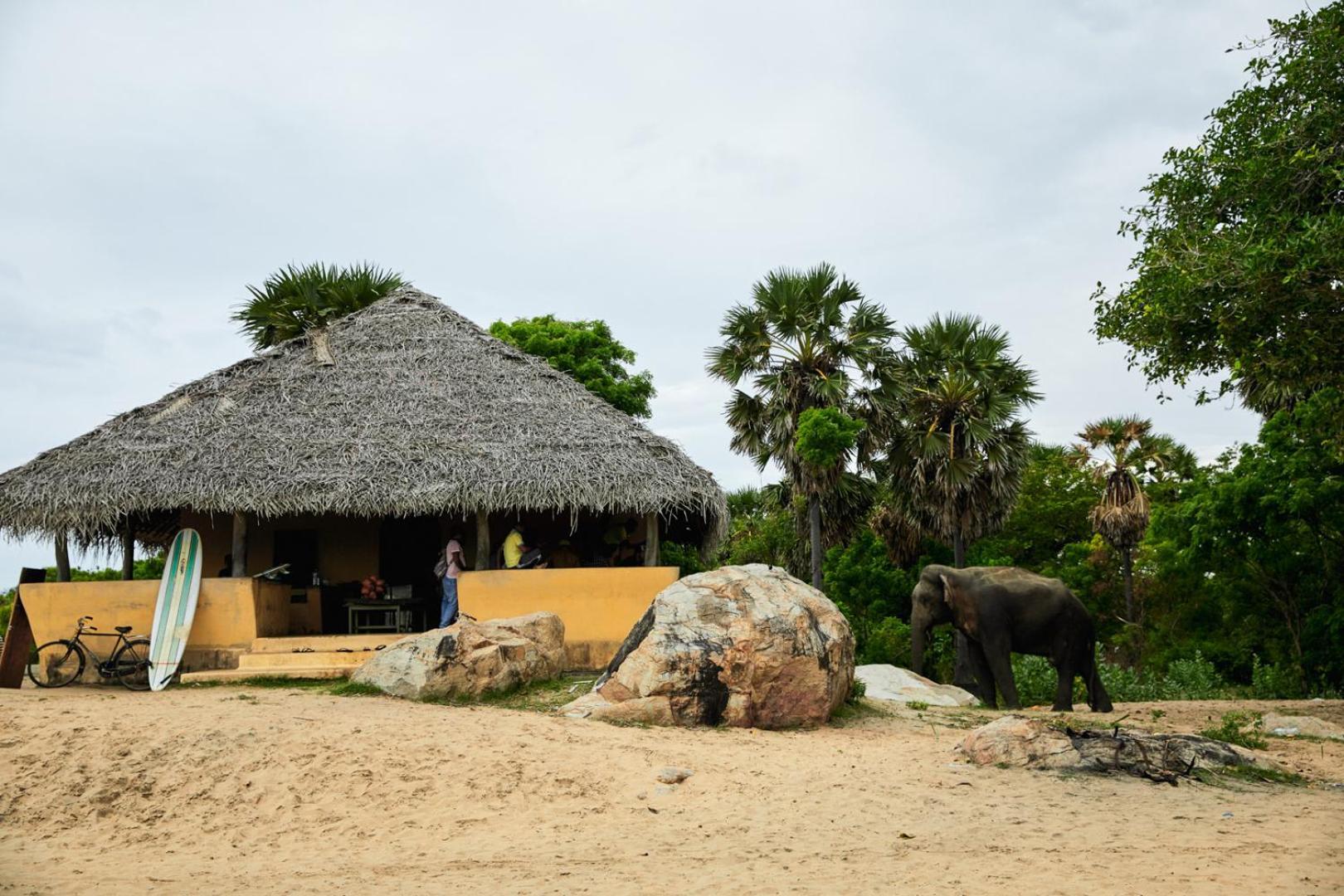 Arugambay Coco Bay Arugam Bay Exterior foto
